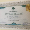 Resmi büyüt: certificate 9