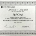 Resmi büyüt: certificate 10