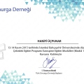 Resmi büyüt: certificate 4