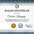Resmi büyüt: certificate 4