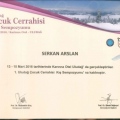 Resmi büyüt: certificate 49