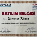 Resmi büyüt: certificate 1