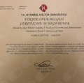 Resmi büyüt: certificate 2