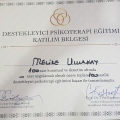 Resmi büyüt: certificate 6
