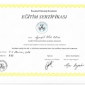 Resmi büyüt: certificate 2