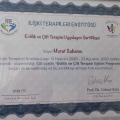 Resmi büyüt: certificate 6