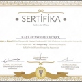 Resmi büyüt: certificate 7