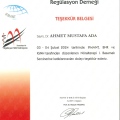 Resmi büyüt: certificate 75