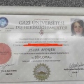 Resmi büyüt: certificate 2