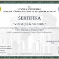 Resmi büyüt: certificate 2