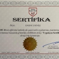 Resmi büyüt: certificate 8
