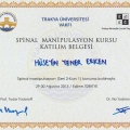 Resmi büyüt: certificate 14