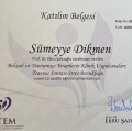 Resmi büyüt: certificate 18