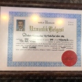 Resmi büyüt: certificate 7
