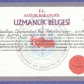 Resmi büyüt: certificate 4