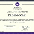 Resmi büyüt: certificate 3