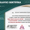 Resmi büyüt: certificate 1