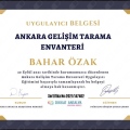Resmi büyüt: certificate 2