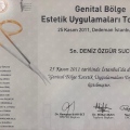 Resmi büyüt: certificate 10