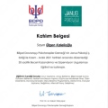 Resmi büyüt: certificate 11