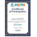 Resmi büyüt: certificate 15