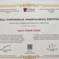 Resmi büyüt: certificate 8