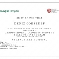 Resmi büyüt: certificate 3