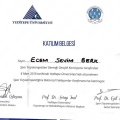 Resmi büyüt: certificate 19