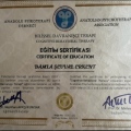 Resmi büyüt: certificate 3