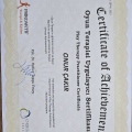 Resmi büyüt: certificate 3