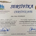 Resmi büyüt: certificate 8