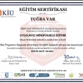 Resmi büyüt: certificate 2