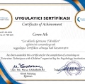 Resmi büyüt: certificate 10