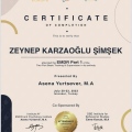 Resmi büyüt: certificate 1