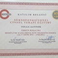 Resmi büyüt: certificate 14