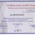 Resmi büyüt: certificate 29