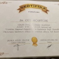 Resmi büyüt: certificate 8