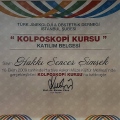 Resmi büyüt: certificate 4