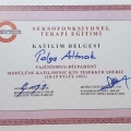Resmi büyüt: certificate 15