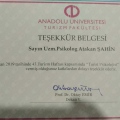 Resmi büyüt: certificate 8
