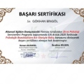 Resmi büyüt: certificate 4