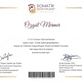 Resmi büyüt: certificate 3