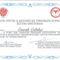 Resmi büyüt: certificate 7