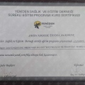Resmi büyüt: certificate 6
