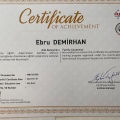 Resmi büyüt: certificate 11