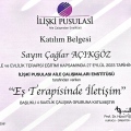 Resmi büyüt: certificate 1