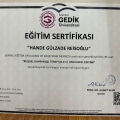 Resmi büyüt: certificate 1
