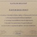 Resmi büyüt: certificate 8