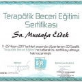 Resmi büyüt: certificate 3