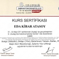 Resmi büyüt: certificate 5